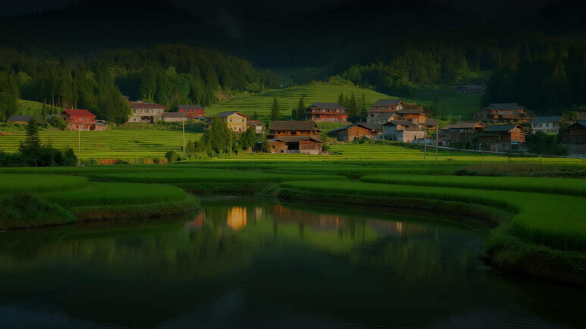 乡村振兴